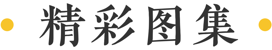 网页设计文字